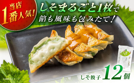 【1パック】餃子屋ヒロの 人気のしそ餃子【餃子屋ヒロ】開成町 餃子 点心 惣菜 冷凍[BDAS003-1]