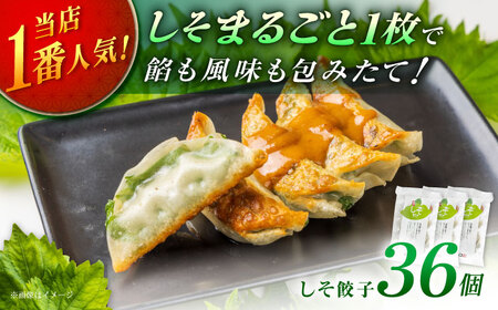 【3パック】餃子屋ヒロの 人気のしそ餃子【餃子屋ヒロ】開成町 餃子 点心 惣菜 冷凍[BDAS003-2]