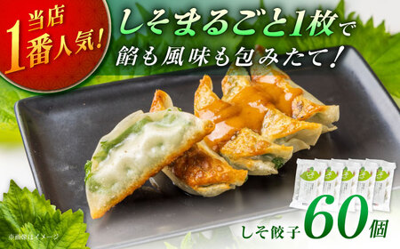 [年内発送][5パック]餃子屋ヒロの 人気のしそ餃子 ぎょうざ[BDAS003-3]