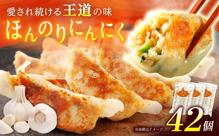 【年内発送】【3パック】餃子屋ヒロの ほんのりにんにく餃子 ぎょうざ[BDAS005-2]