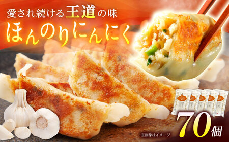 【年内発送】【5パック】餃子屋ヒロの ほんのりにんにく餃子 ぎょうざ[BDAS005-3]