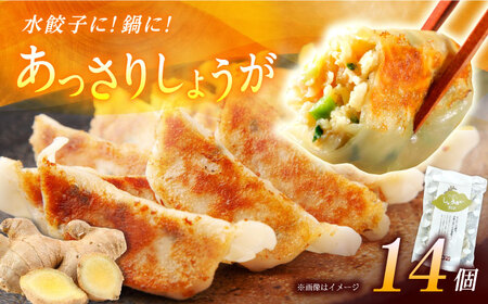 【1パック】餃子屋ヒロの しょうが餃子【餃子屋ヒロ】開成町 餃子 点心 惣菜 冷凍[BDAS006-1]