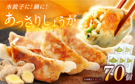 【5パック】餃子屋ヒロの しょうが餃子【餃子屋ヒロ】開成町 餃子 点心 惣菜 冷凍[BDAS006-3]