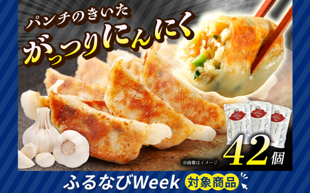 [ふるなびWEEK対象][年内発送][3パック]餃子屋ヒロの がっつりにんにく餃子 ぎょうざ[BDAS004-2]