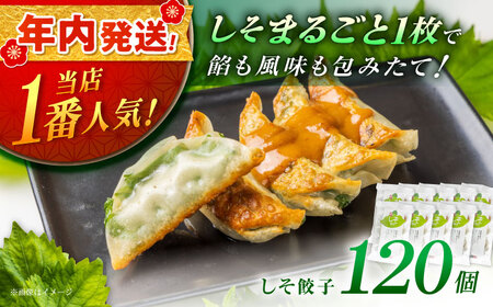 【年内発送】【10パック】餃子屋ヒロの 人気のしそ餃子 ぎょうざ[BDAS003-4]