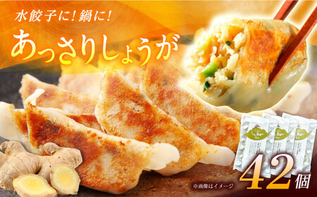 【3パック】餃子屋ヒロの しょうが餃子【餃子屋ヒロ】開成町 餃子 点心 惣菜 冷凍[BDAS006-2]