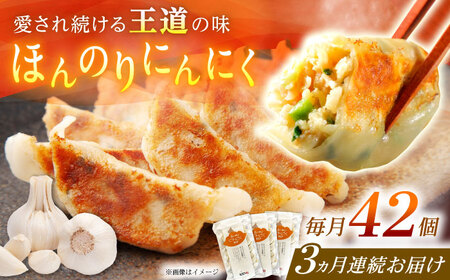 [全3回定期便][3パック]餃子屋ヒロの ほんのりにんにく餃子 ぎょうざ[BDAS013]