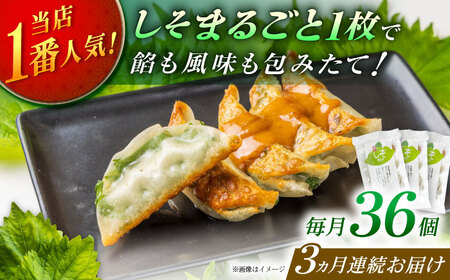 [全3回定期便][3パック]餃子屋ヒロの 人気のしそ餃子 ぎょうざ[BDAS010]