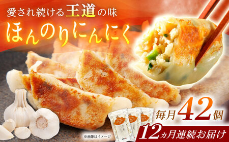 【全12回定期便】【3パック】餃子屋ヒロの ほんのりにんにく餃子 ぎょうざ[BDAS015]