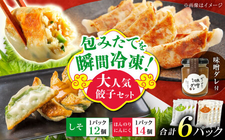 【年内発送】【計6パック】餃子屋ヒロの大人気餃子セット＋特製味噌ダレ付餃子 ぎょうざ[BDAS009-3]