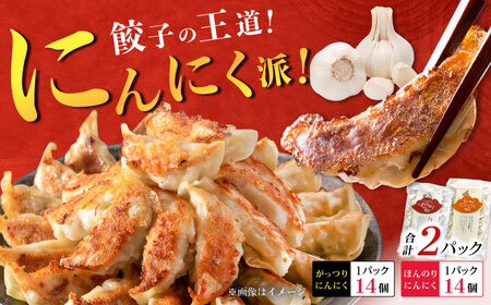 [お中元対象][王道!にんにく派×1パック]餃子2種セット![餃子屋ヒロ]開成町 餃子 点心 惣菜 冷凍[BDAS008-1]