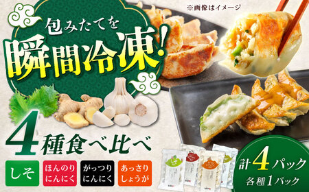 餃子屋ヒロの全種類食べ比べセット[餃子屋ヒロ]開成町 餃子 点心 惣菜 冷凍[BDAS007]