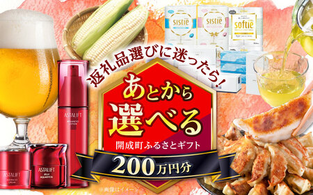 [あとから選べる]開成町ふるさとギフト 200万円分 あとから寄附 選べる寄附 ティッシュ トイレットペーパー 化粧品 餃子 体験 お茶 日本酒 定期便 神奈川 開成町[BDZZ013]