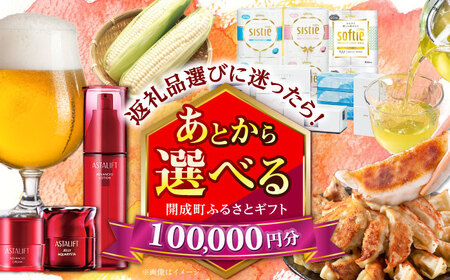 [あとから選べる]開成町ふるさとギフト 10万円分 あとから寄附 選べる寄附 ティッシュ トイレットペーパー 化粧品 餃子 体験 お茶 日本酒 定期便 神奈川 開成町[BDZZ007]