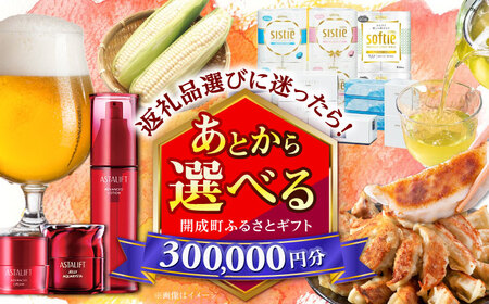 [あとから選べる]開成町ふるさとギフト 30万円分 あとから寄附 選べる寄附 ティッシュ トイレットペーパー 化粧品 餃子 体験 お茶 日本酒 定期便 神奈川 開成町[BDZZ009]