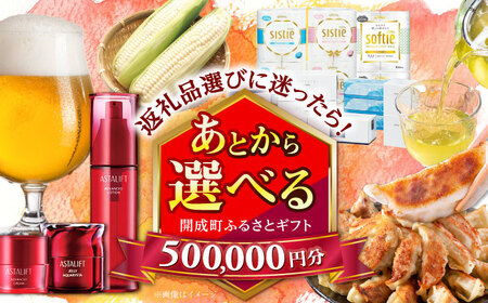 [あとから選べる]開成町ふるさとギフト 50万円分 あとから寄附 選べる寄附 ティッシュ トイレットペーパー 化粧品 餃子 体験 お茶 日本酒 定期便 神奈川 開成町[BDZZ010]