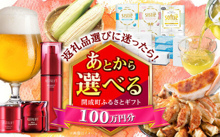 [あとから選べる]開成町ふるさとギフト 100万円分 あとから寄附 選べる寄附 ティッシュ トイレットペーパー 化粧品 餃子 体験 お茶 日本酒 定期便 神奈川 開成町[BDZZ011]
