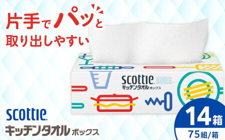 スコッティ キッチンタオルボックス 14箱 [BDBH003-2]