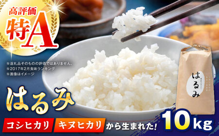 【特Aランク受賞実績あり！】はるみ 10kg【遠藤ファーム】開成町 米 ご飯 米 白米 米 お米 米 特A 米 [BDAF002]