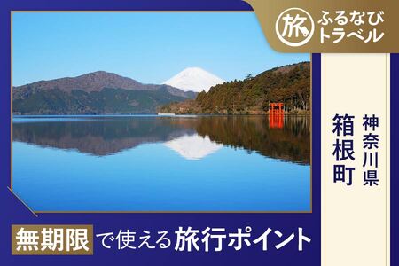 [箱根旅行・宿泊無期限]旅行ポイント箱根町ふるなびトラベルポイント