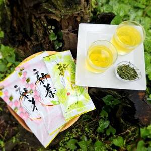 相模湾のミネラルで育つ茶葉!香り豊かに、色鮮やかに♪初摘み新茶3袋セット