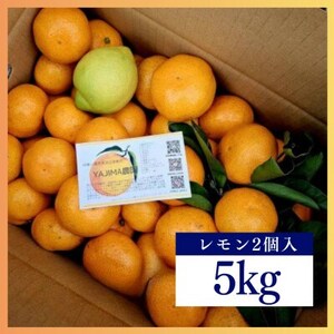 B݂5kg聚 ÖƎ_̃oXǂAZȍ肪łystzy1531515z