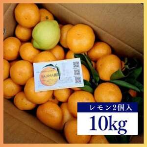 B݂10kg聚 ÖƎ_̃oXǂAZȍ肪łystzy1531524z
