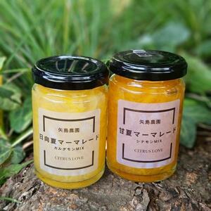柑橘農家の自家製マーマレード3種セット 矢島農園の手作りジャム[先行予約]