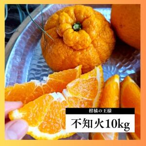 ���k�̉��l���s�m��10kg����@�Z���W���[�V�[�A�Ö������Ղ�!�@�_�������悭���荂���A���̓v���v��!�y1695150�z