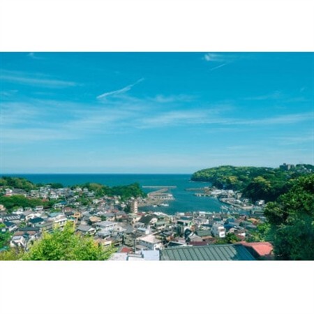 真鶴まち歩きと記念写真撮影(食体験アテンド付き)