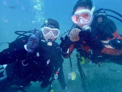 だいびんぐしょっぷ海家「半日体験ダイビング」