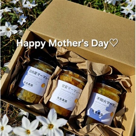 [母の日ギフト]相模湾を望む柑橘農家の手作り 香り好評マーマレード3種セット[配送不可地域:離島・沖縄県]