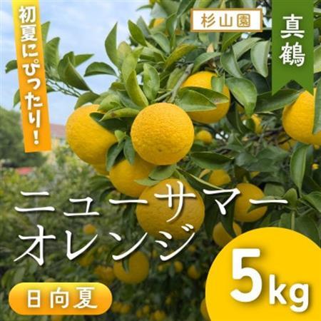 [杉山園]ニューサマーオレンジ (5kg)