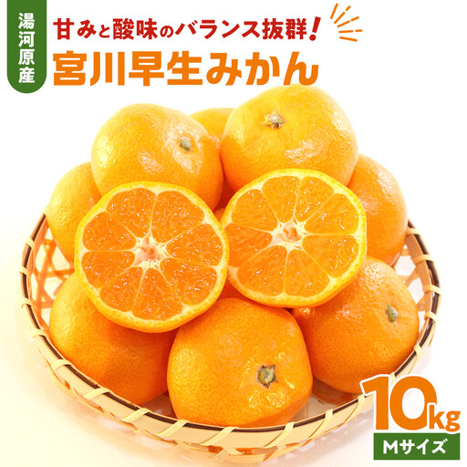 甘みと酸味のバランス抜群・宮川早生みかん 10kg(Mサイズ) 2026年11月中旬〜下旬頃に発送予定| 湯河原町 Mサイズ 10kg 宮川早生みかん 果汁たっぷり 旬の果物