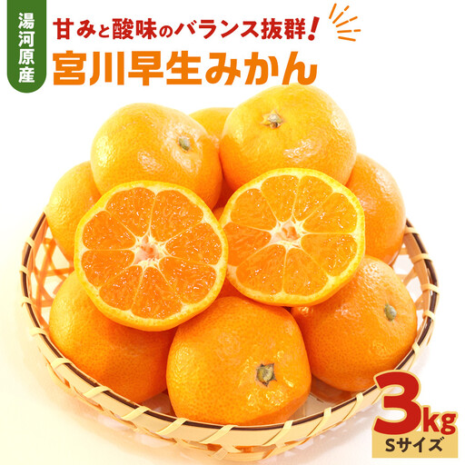 甘みと酸味のバランス抜群・宮川早生みかん 3kg(Sサイズ) 2026年11月中旬〜下旬頃に発送予定| 湯河原町 Sサイズ 3kg ジューシー 柑橘類 食べ頃 宮川早生みかん