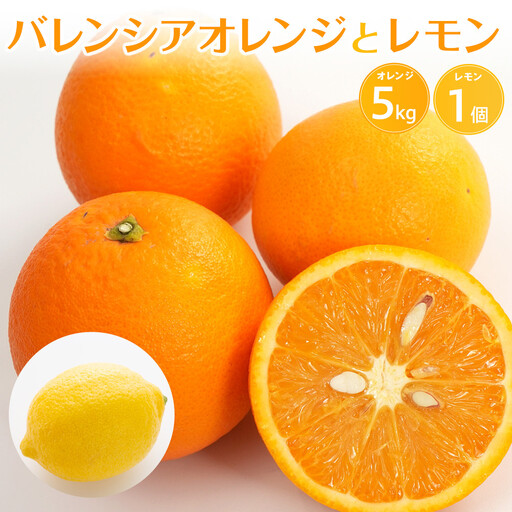 バレンシアオレンジ５ｋｇ＋璃の香（レモン）１個【2026年6月以降発送】