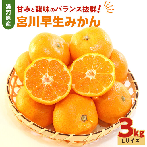 甘みと酸味のバランス抜群・宮川早生みかん 3kg(Lサイズ) | 湯河原町 Lサイズ 3kg 宮川早生みかん 果物 旬 みかん フレッシュ
