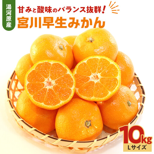 甘みと酸味のバランス抜群・宮川早生みかん　10kg(Lサイズ) | 湯河原町 Lサイズ 10kg 宮川早生みかん 果物 旬 みかん フレッシュ
