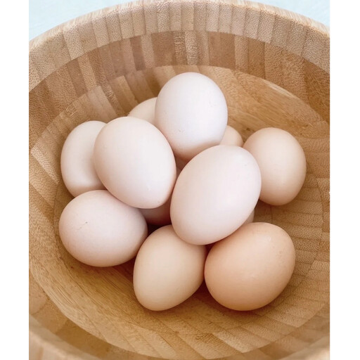 平飼い烏骨鶏のたまご12個