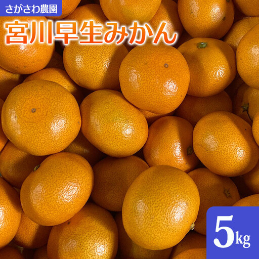 宮川早生みかん5kg | 湯河原町 みかん 柑橘 旬 宮川早生 5kg フルーツ