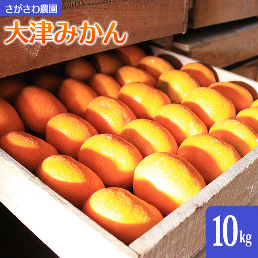 大津みかん10kg | 湯河原町 湯河原発祥 みかん 柑橘 旬 大津4号 10kg フルーツ