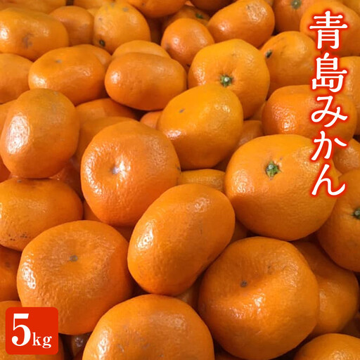 青島みかん5kg | 湯河原町 みかん 柑橘 旬 青島みかん 5kg フルーツ