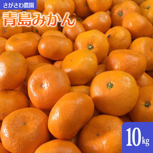 青島みかん10kg | 湯河原町 みかん 柑橘 旬 青島みかん 10kg フルーツ