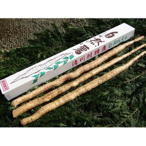 쑺Y@悩펩R1600(1.6kg){܂y1326824z