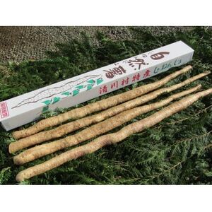 쑺Y@悩펩R2000(2kg){܂y1326825z