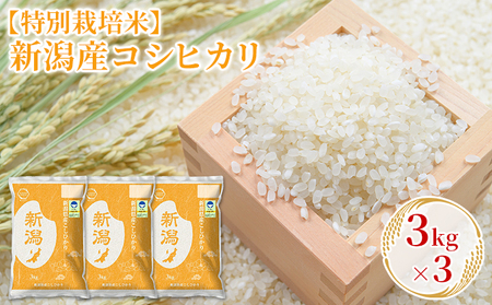 [特別栽培米]新潟産コシヒカリ 3kg×3 お米 精米 白米 ご飯 ブランド米 銘柄米 おにぎり お弁当 産地直送