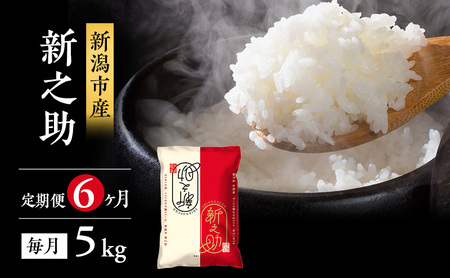 米 6ヶ月定期便 新潟 新之助 5kg 白米 精米 1等米 精米仕立てを発送致します 新潟県産 定期便 お米 5kg こめ コメ ブランド米 6ヶ月 半年 6回 お楽しみ