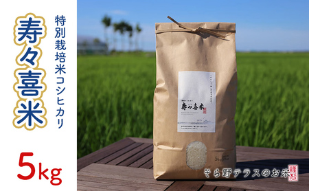 特別栽培米コシヒカリ 寿々喜米 5kg(精米) 特別栽培米 コシヒカリ 米 お米 こめ コメ おこめ 新潟