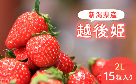 y\󒍁z2026N2{蔭@VYzP2L@15