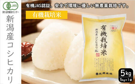 L@͔| VYRVqJ5kg    Ђ V